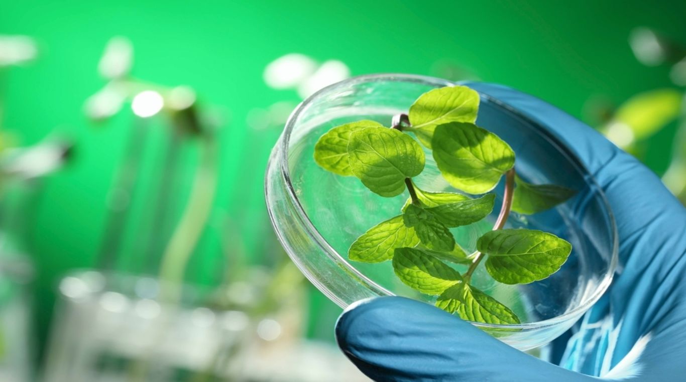 В вузе школьников познакомят с удивительным миром науки