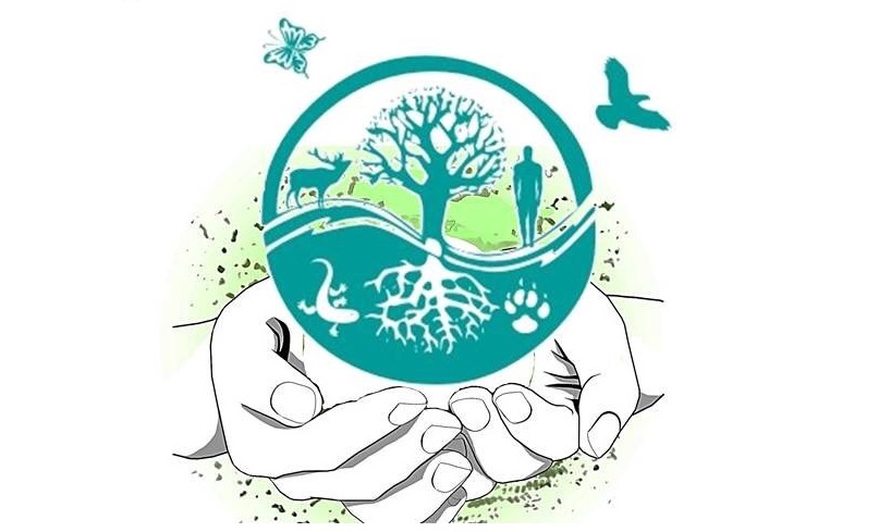 Сохраним то, что подарено природой