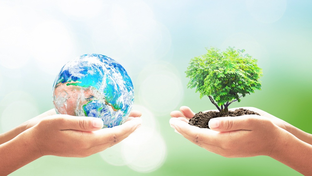 Сыктывкарцев приглашают на экологический диктант