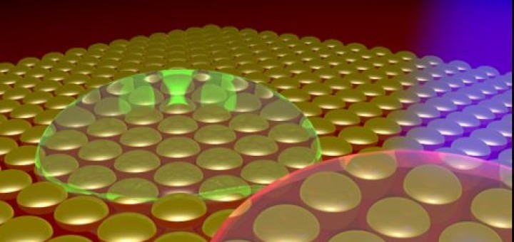 Сыктывкарский госуниверситет на пороге новых мировых открытий