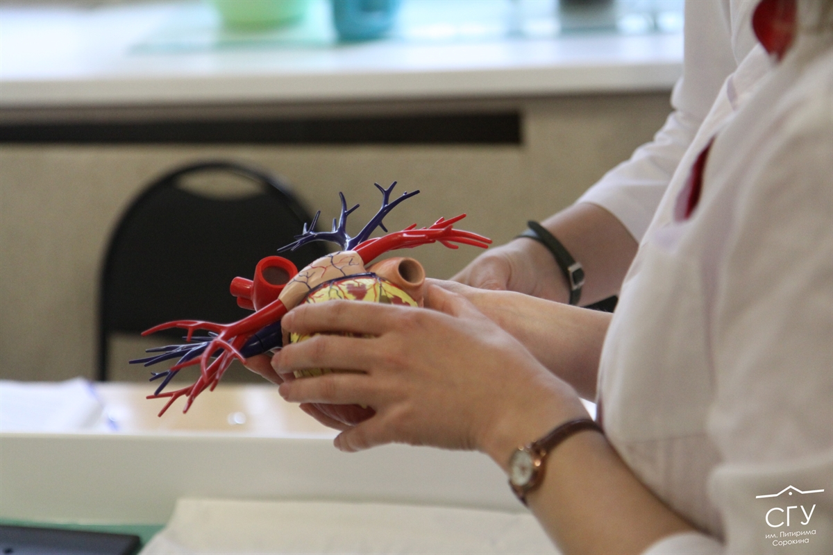 Расширяем границы: для студентов-медиков появилась учебная площадка на базе РДКБ