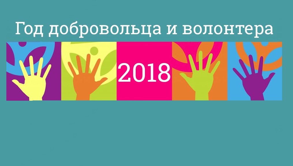 Год добровольца придаст импульс развитию волонтерского движения в России