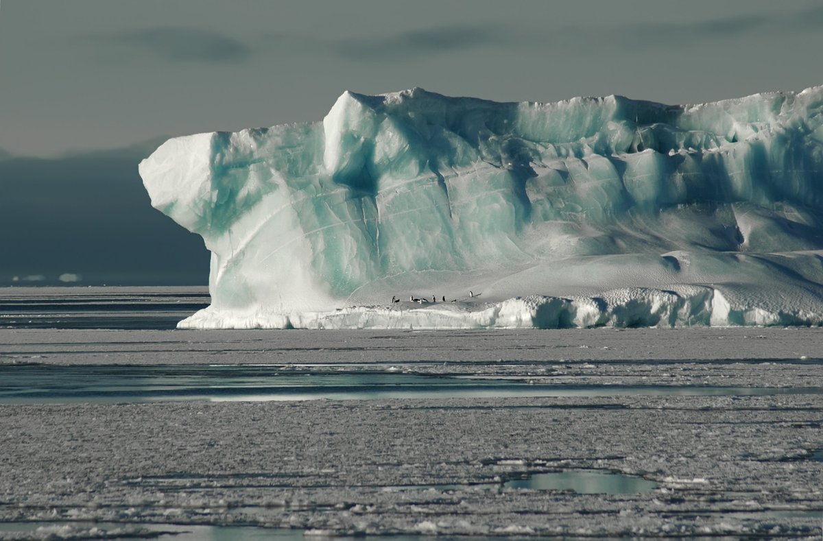 Подискутировали об Арктике