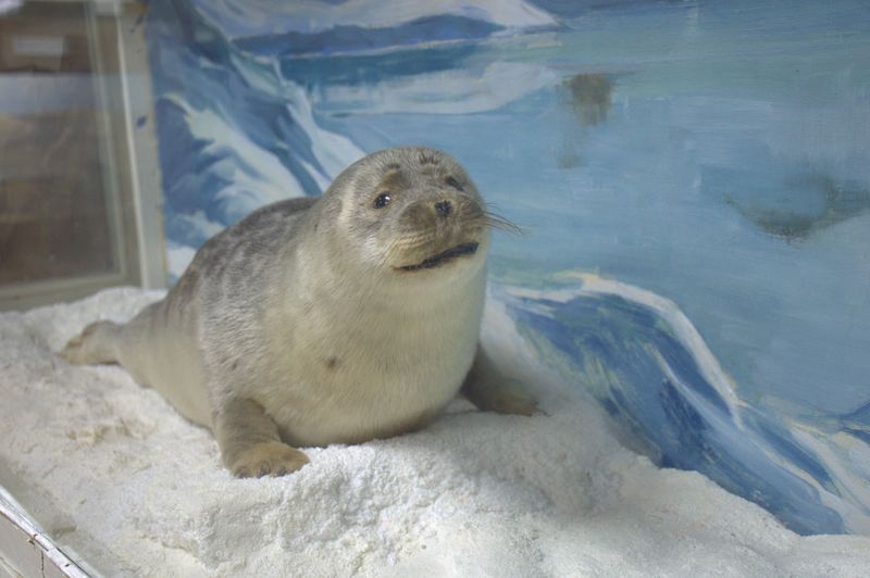 Экскурсии по университету