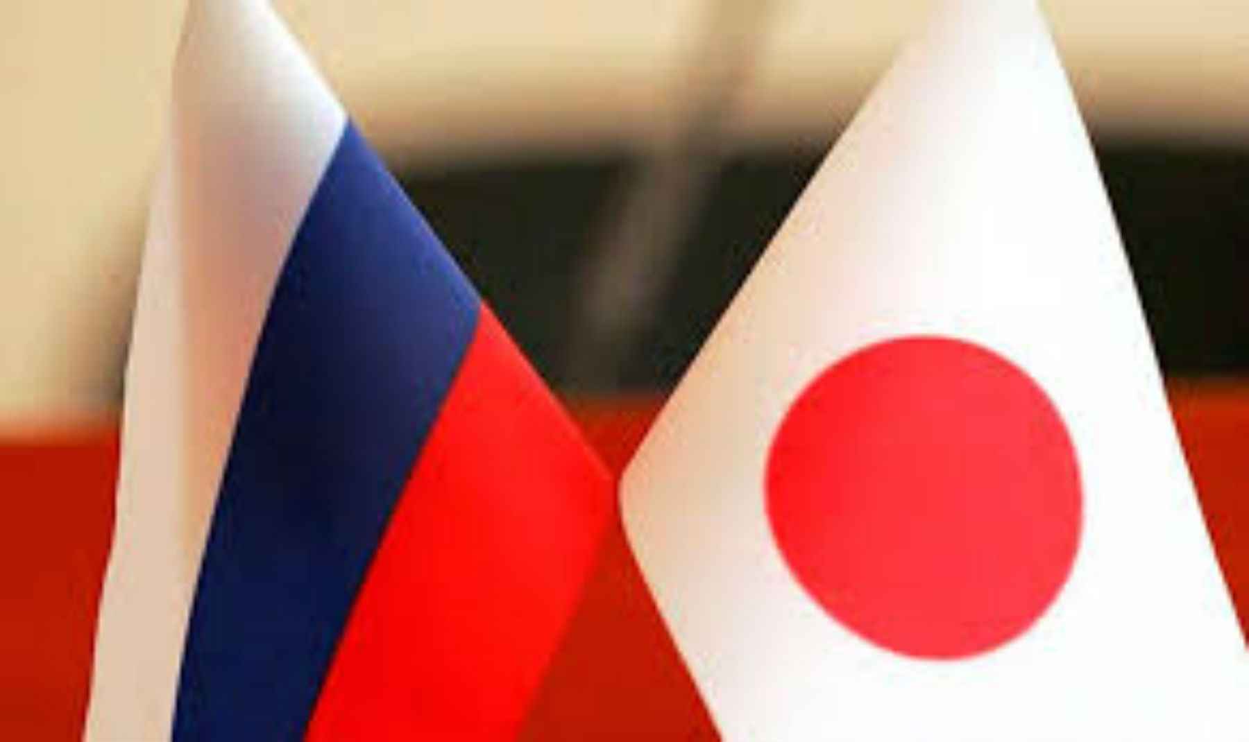 Россия и Япония: молодежное сотрудничество