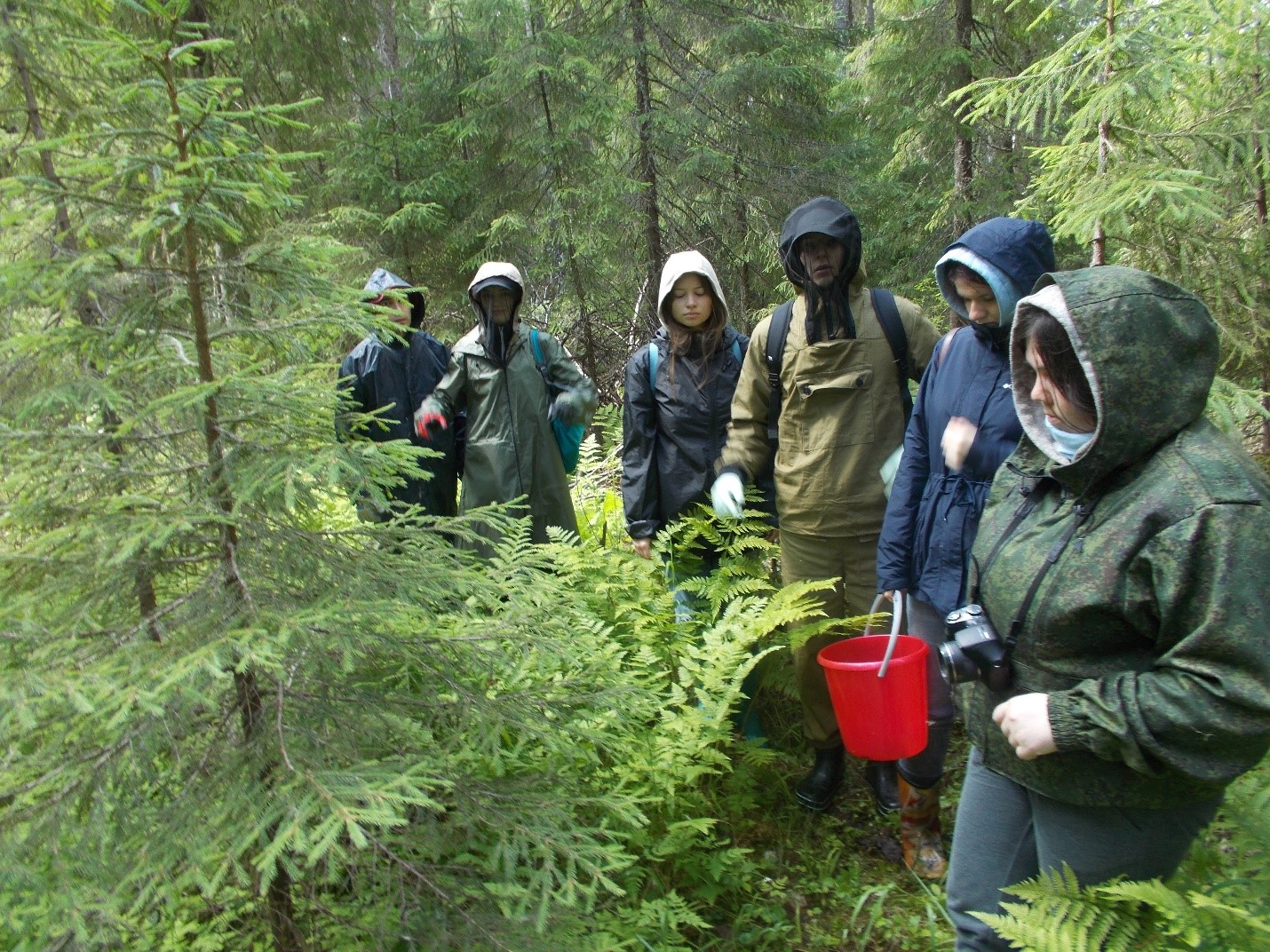 Молодые ученые съездили в экспедицию в Национальный парк «Койгородский»