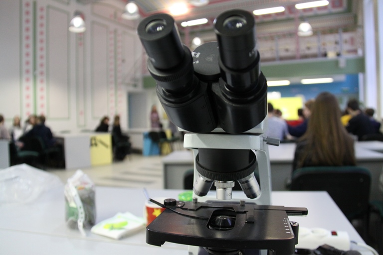 Ученые Сыктывкарского университета разработают программу расчета биологического возраста 