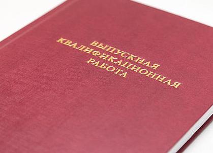 После практики на работу